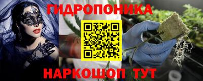 Альфа ПВП Братск